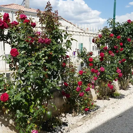 La Rochelle Et L'aunis Bed & Breakfast