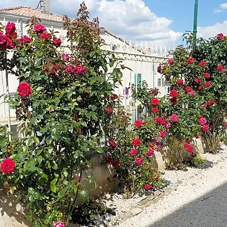 Couette-café La Rochelle Et L'aunis
